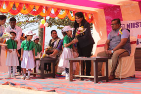 niistpublicschool Image